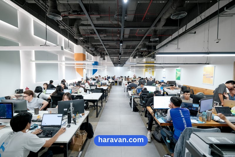 Đội ngũ công nghệ trẻ tại văn phòng Website.
