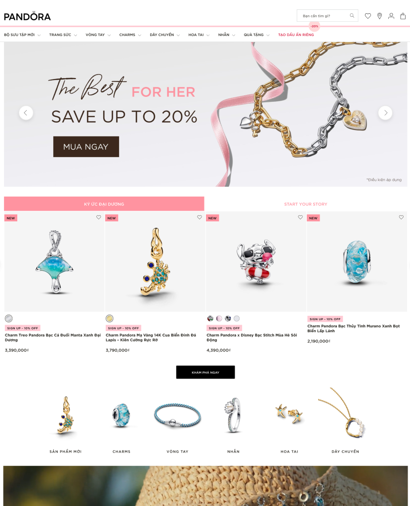 Câu chuyện thành công - Website
